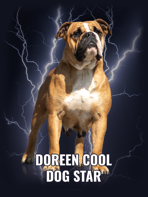 Doreen Cool Dog Star