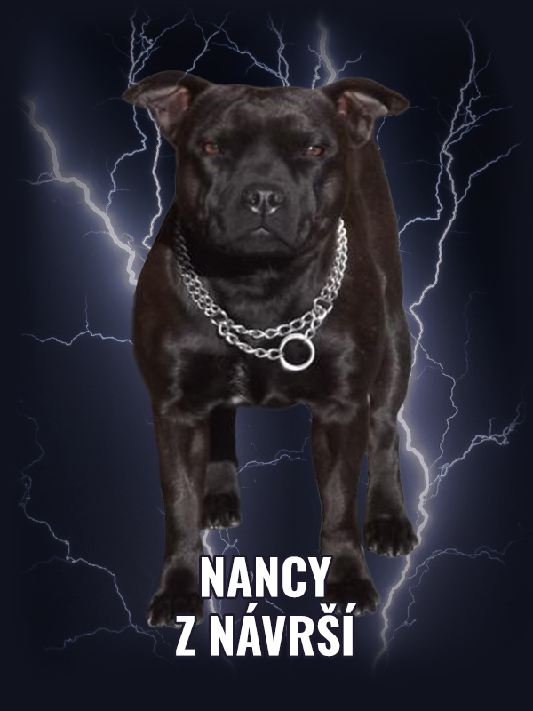 Nancy Z Návrší