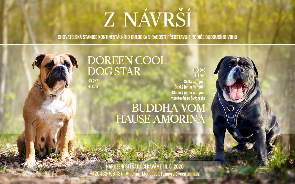 Štěňata Doreen a Buddha